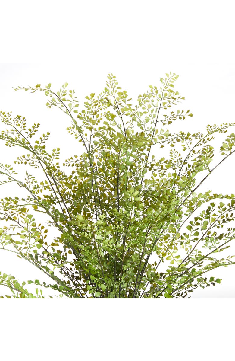 Napa Home & Garden Maidenhair Drop-In 30", Alternate, color, Green