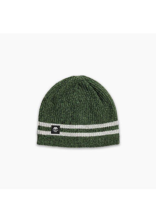 Turtle Fur Mr. Happy Wool Beanie In Green