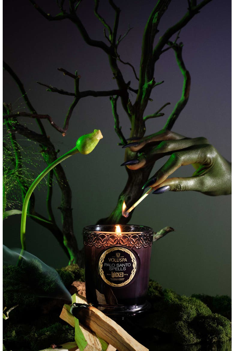 Wicked Collection Palo Santo Spells Candle, Alternate, color, NO COLOR