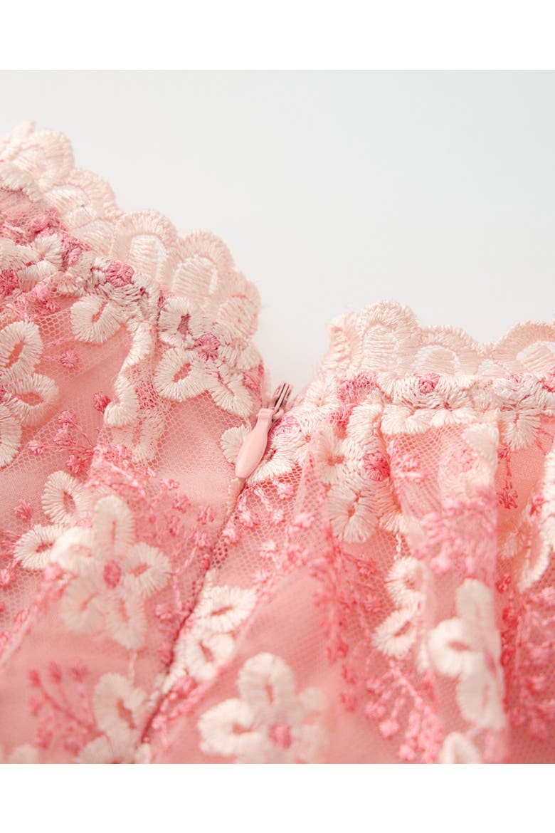 Julia Embroidered Mini Dress, Alternate, color, Peach