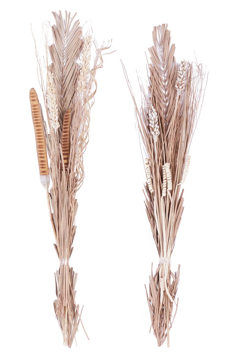 Brown Dried Plant Pigeon Pea Natural Foliage - Set of 2, Main, color, BROWN