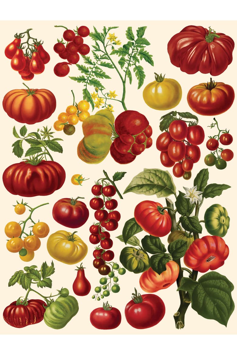 Tomatoes 500 Piece Puzzle, Alternate, color, No Color