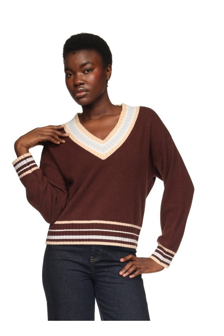 Stitchy Trim V-Neck Sweater, Main, color, Cocoa