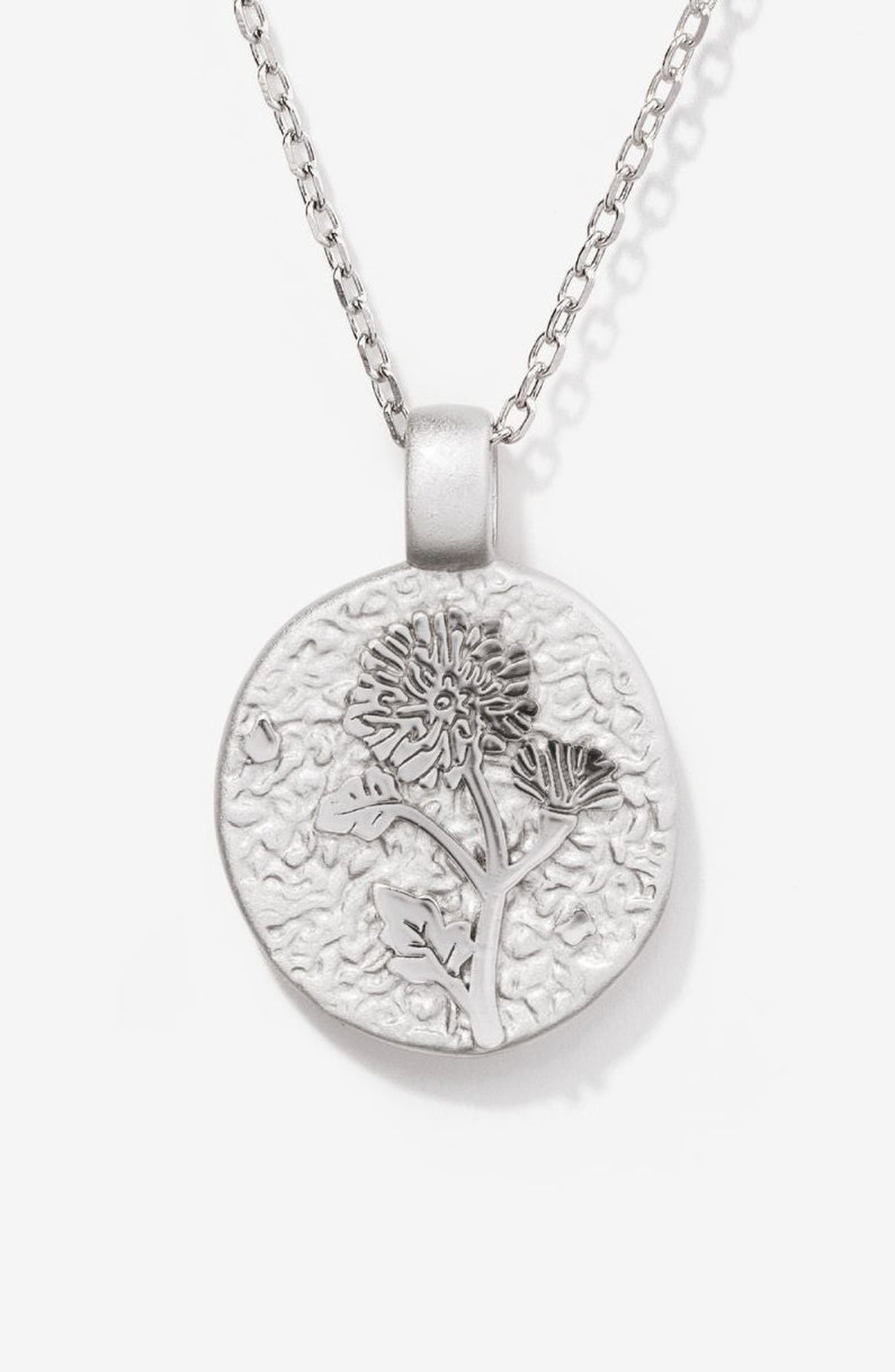 Chrysanthemum November