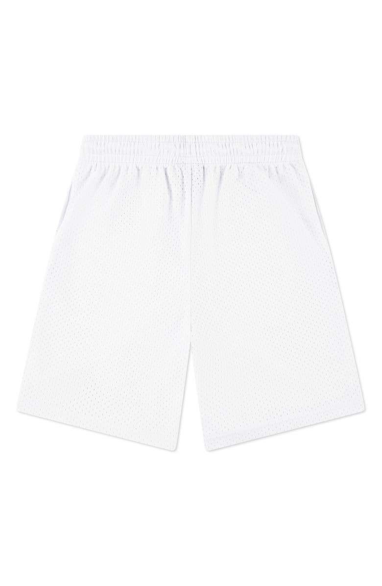 Jordan Kids' Mesh PE Shorts, Alternate, color,