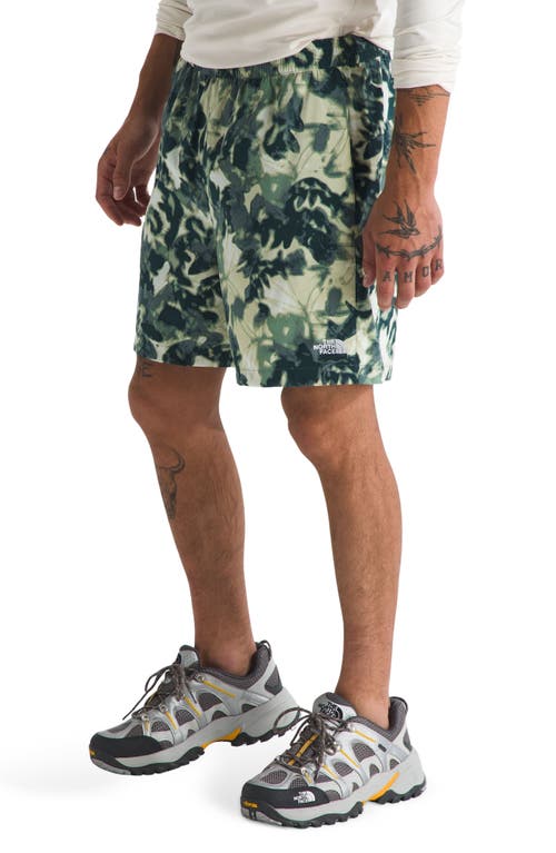 THE NORTH FACE THE NORTH FACE CLASS V PATHFINDER SHORTS 