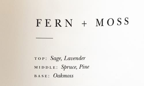 Brooklyn Candle Studio Fern Moss Classic 2-wick Candle