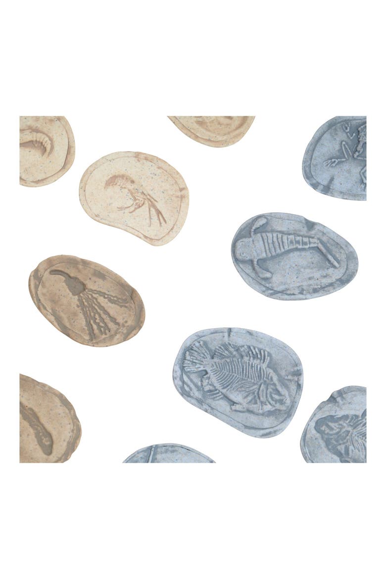 Magnetic Matching Aquatic Life Fossil Stones - Set of 8, Alternate, color, Gray