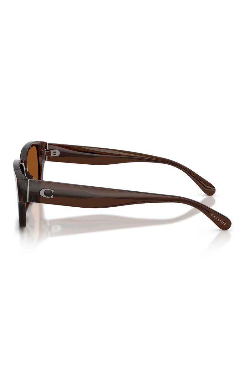 55mm Rectangular Sunglasses, Alternate, color, TRANSPARENT BROWN / BROWN