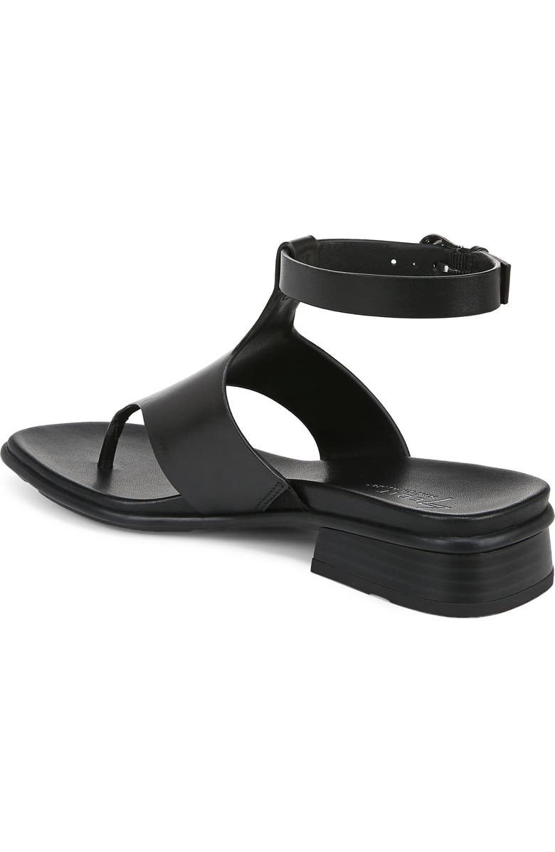 27 EDIT Naturalizer Beck Ankle Strap Sandal, Alternate, color,