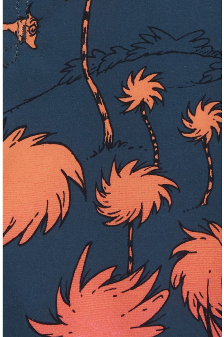 x Dr. Seuss The Lorax Sundays Pro Board Shorts, Alternate, color, CHARCOAL