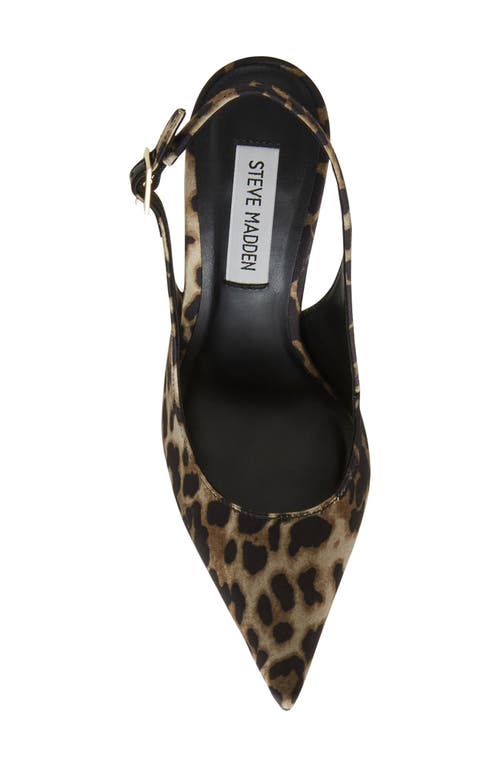 Steve Madden Blare Slingback Pointed Toe Pump In Leopard