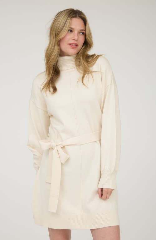 August Sky Long Sleeve Turtleneck Sweater Minidress In Neutral