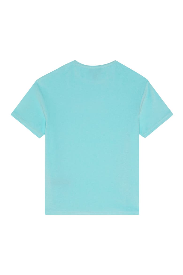 Kids Terry T-shirt Embroidered Turtle, Alternate, color, Oxygen