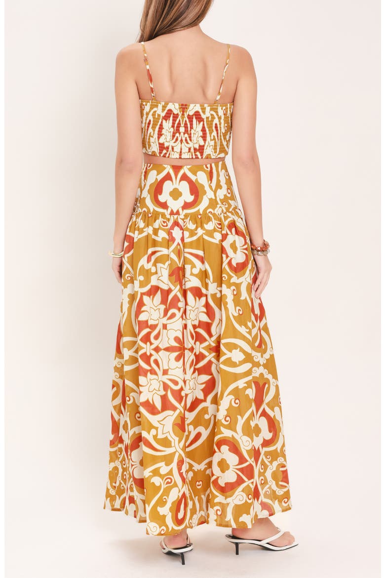 Print Crop Top and Maxi Skirt Set, Alternate, color, CAMEL MULTI