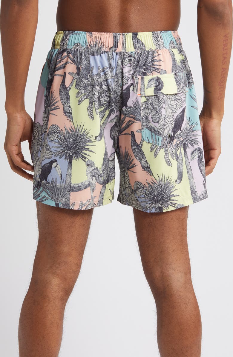 SAXX Oh Buoy Stripe 2-in-1 Hybrid Shorts, Alternate, color,