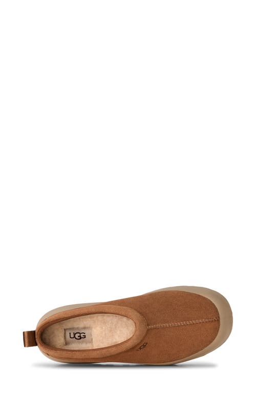 Ugg(r) Tasman Streetscape Slipper In Brown