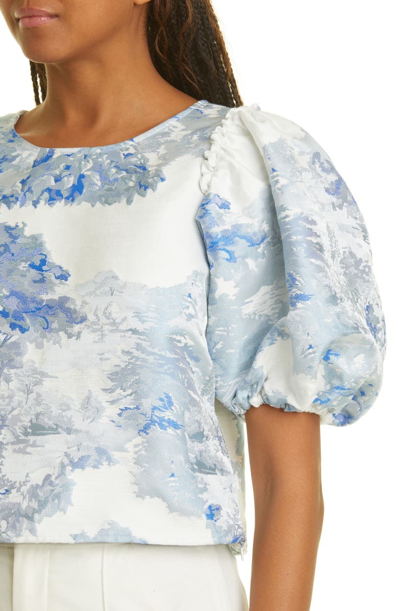 Ted Baker London Ivria Puff Sleeve Crop Top, Alternate, color, 