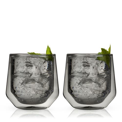 Viski Aurora Double Walled Tumblers Set of 2 in Grey 