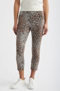 Hue Ultrasoft Leopard Cotton Blend Capri Leggings
