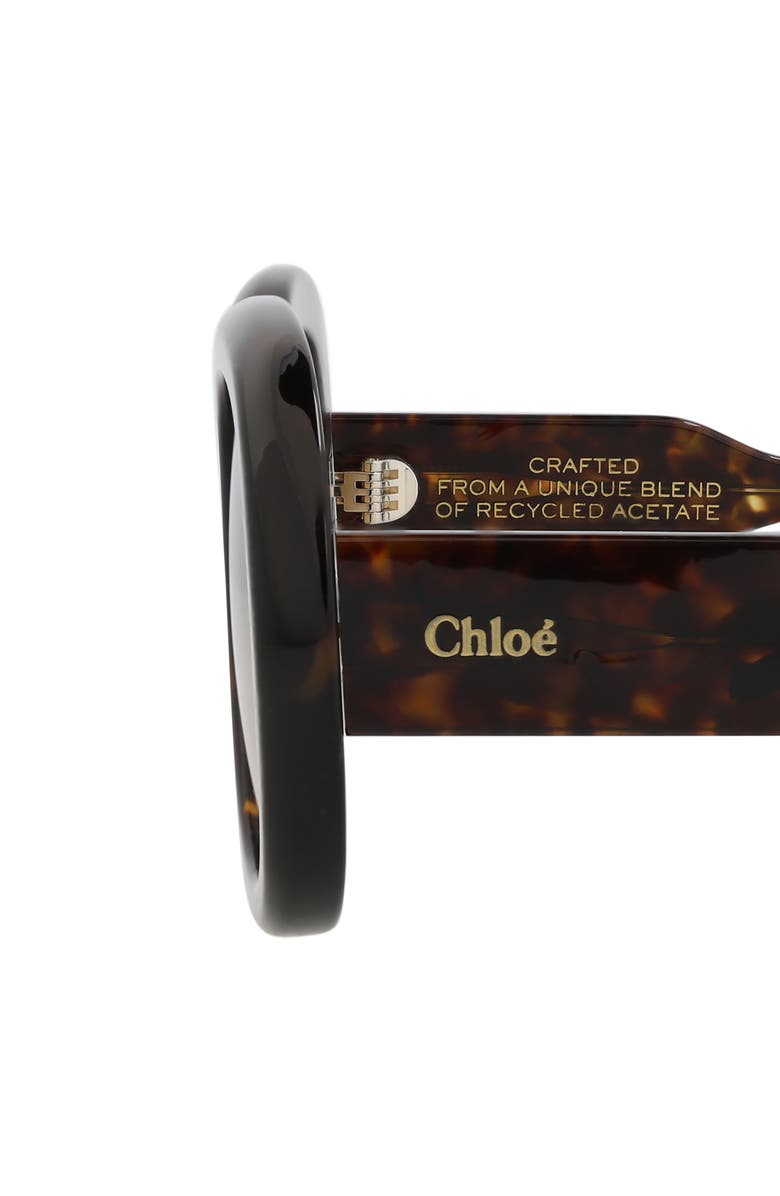 Chloé 54mm Square Sunglasses, Alternate, color, Havana Havana Brown