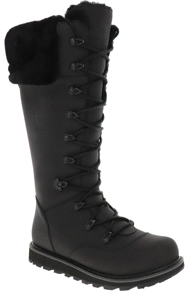 Royal Canadian Dalhousie Waterproof Boot with Genuine Shearling Trim, Main, color,