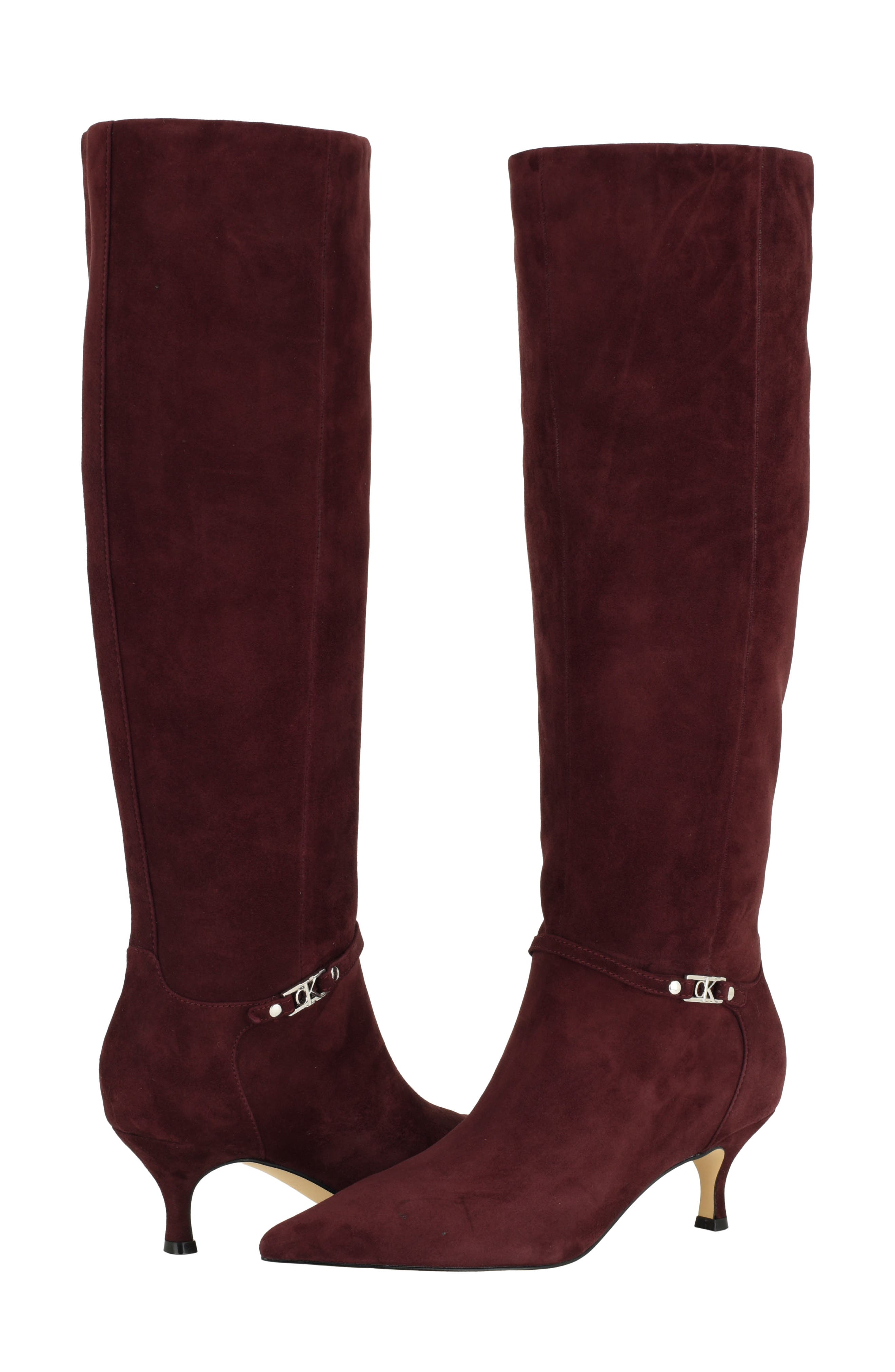 Serray Pointed Toe Knee High Boot, Alternate, color, RED