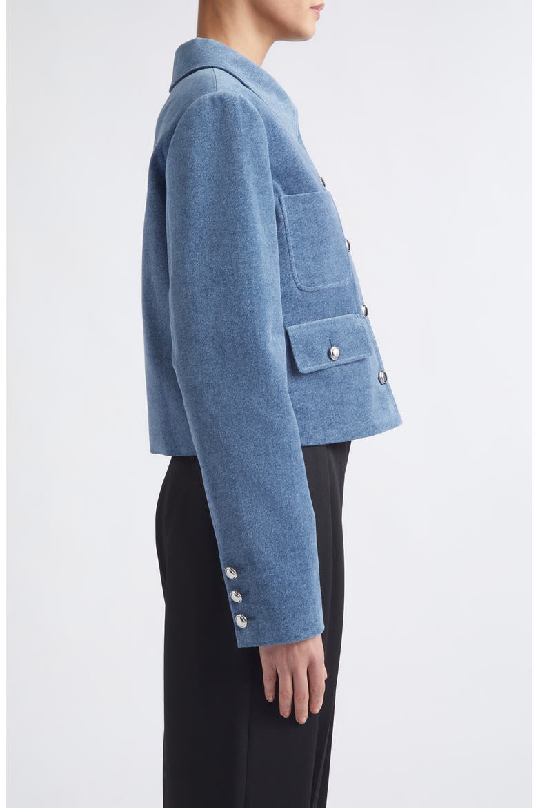 Astley Crop Denim Jacket, Alternate, color, ASH BLUE