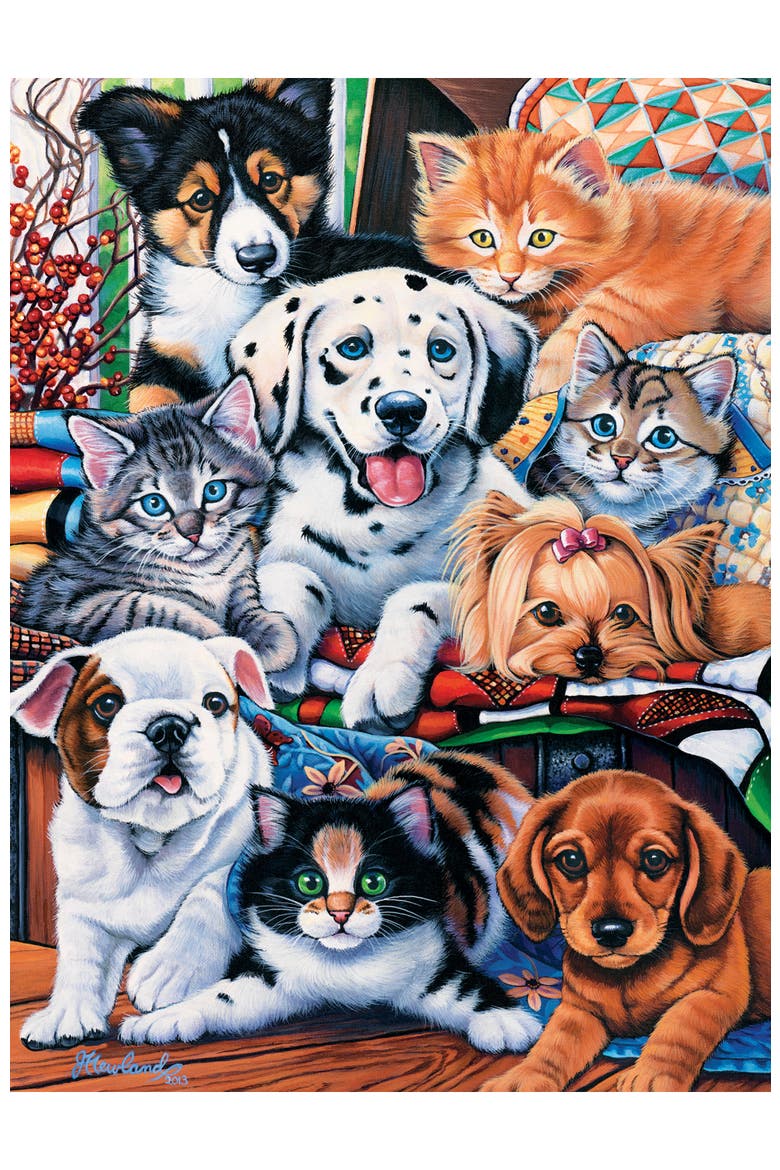 Hide and Seek 300 Piece Jigsaw Puzzle, Alternate, color, Multicolor