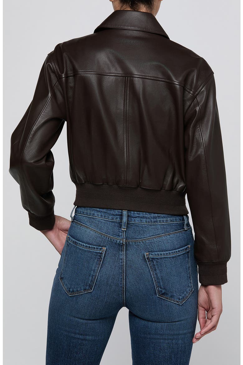 Clotilde Leather Bomber Jacket, Alternate, color, BRUNETTE