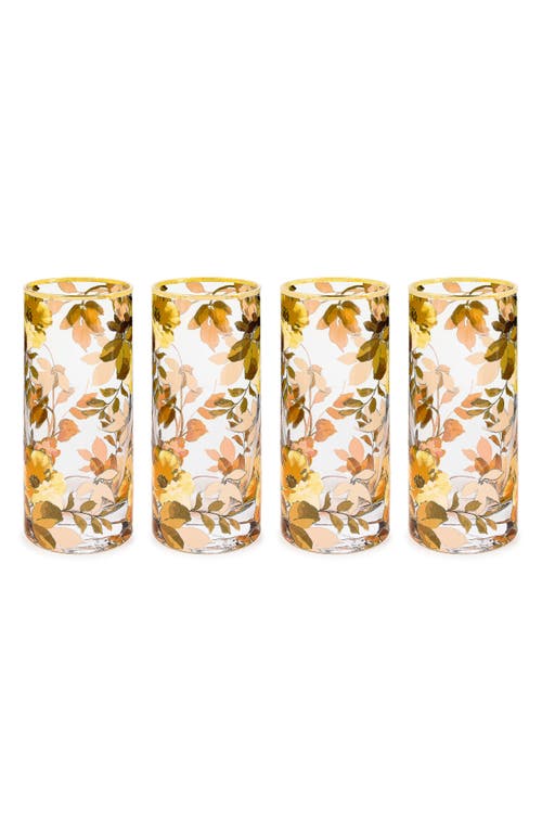 Mackenzie-childs Mackenzie Childs Set Of 4 Wild Rose Highball Glasses In Multi
