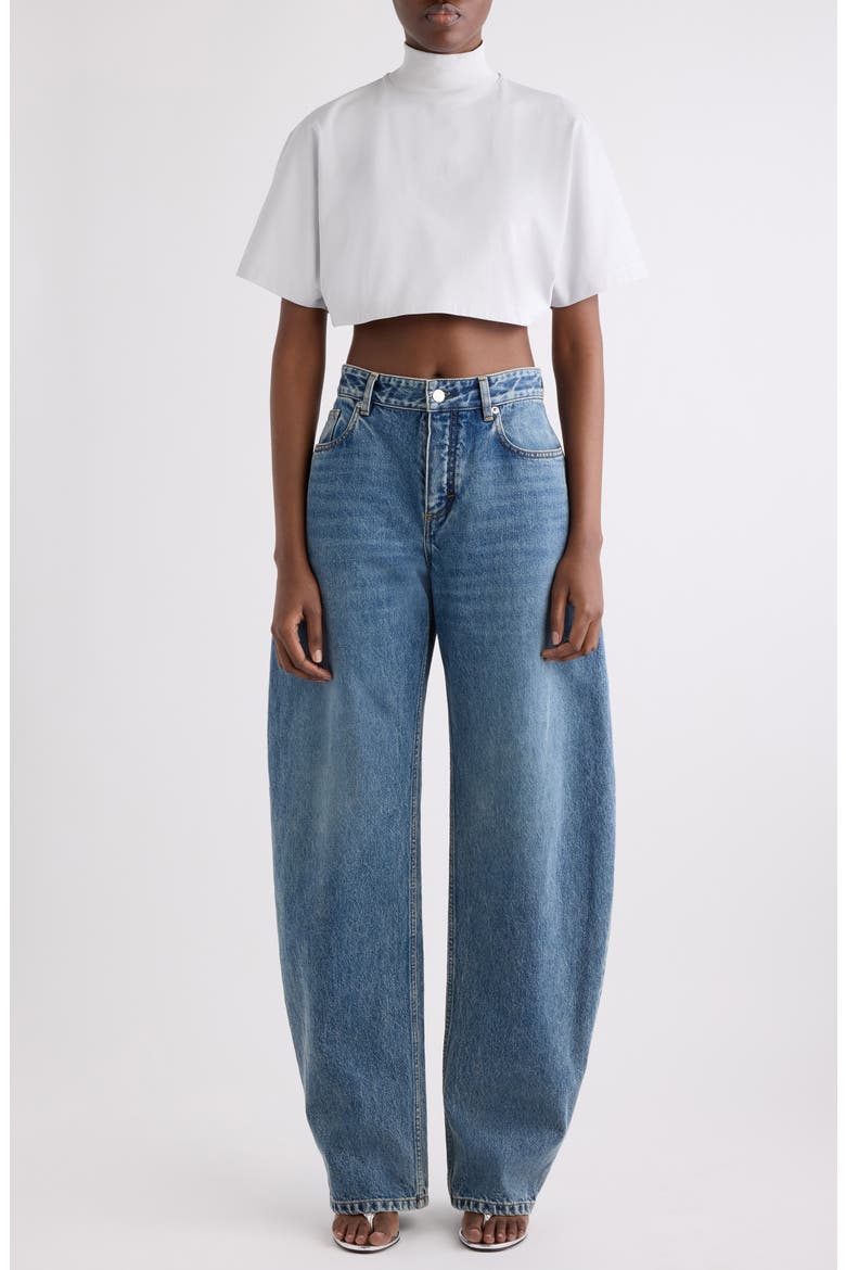 Mock Neck Cotton Jersey Crop Top, Alternate, color, GRIS PERLE