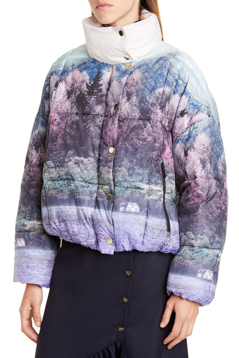 Brietta Graphic Puffer Jacket, Alternate, color, WONDERLAND