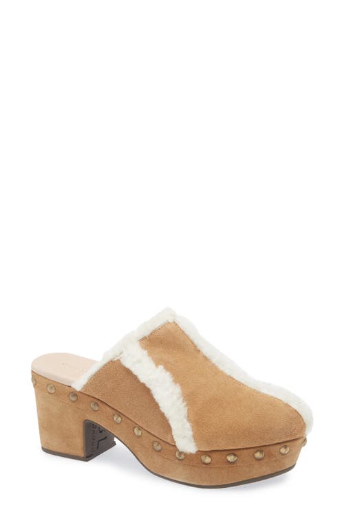 Chocolat Blu Greer Genuine Shearling Platform Clog In Multi
