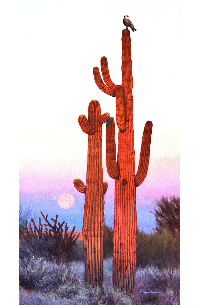 Sunsout Desert Lookout 500 piece Jigsaw Puzzle for Adults, Alternate, color, Multicolor