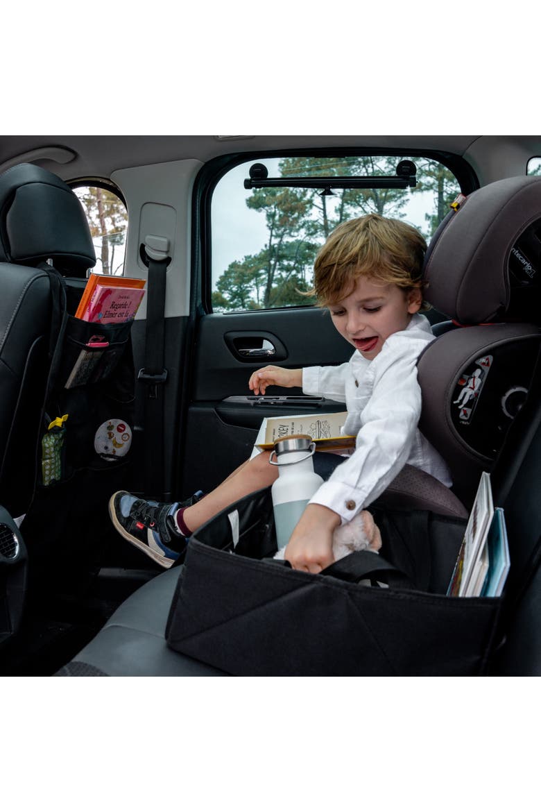 Car Seat Organizer & Protector XL - Eco-friendly, Alternate, color, Black
