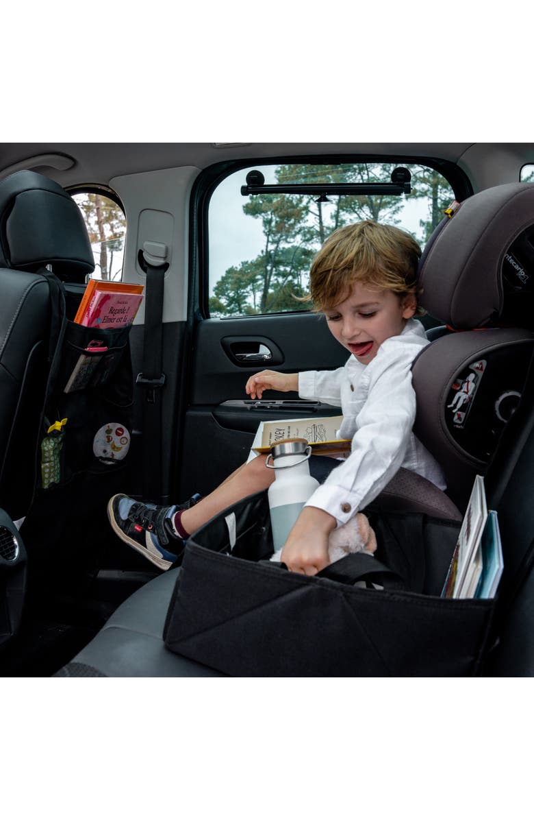 ezimoov Car Seat Organizer & Protector XL - Eco-friendly, Alternate, color, Black