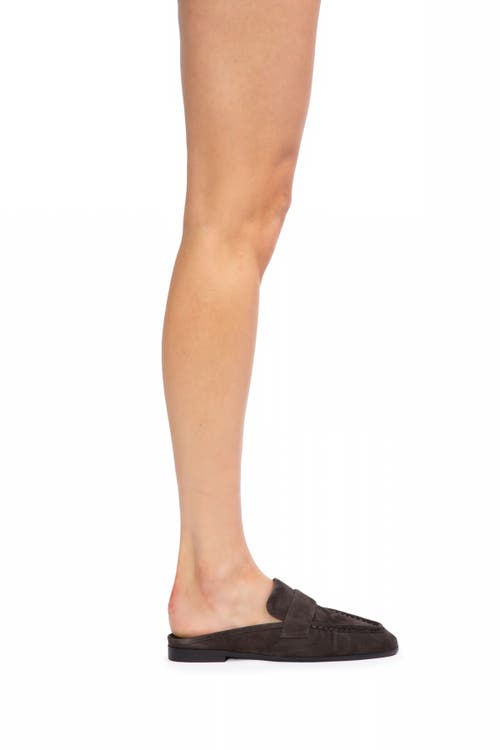 Black Suede Studio Gabby Loafer In Brown