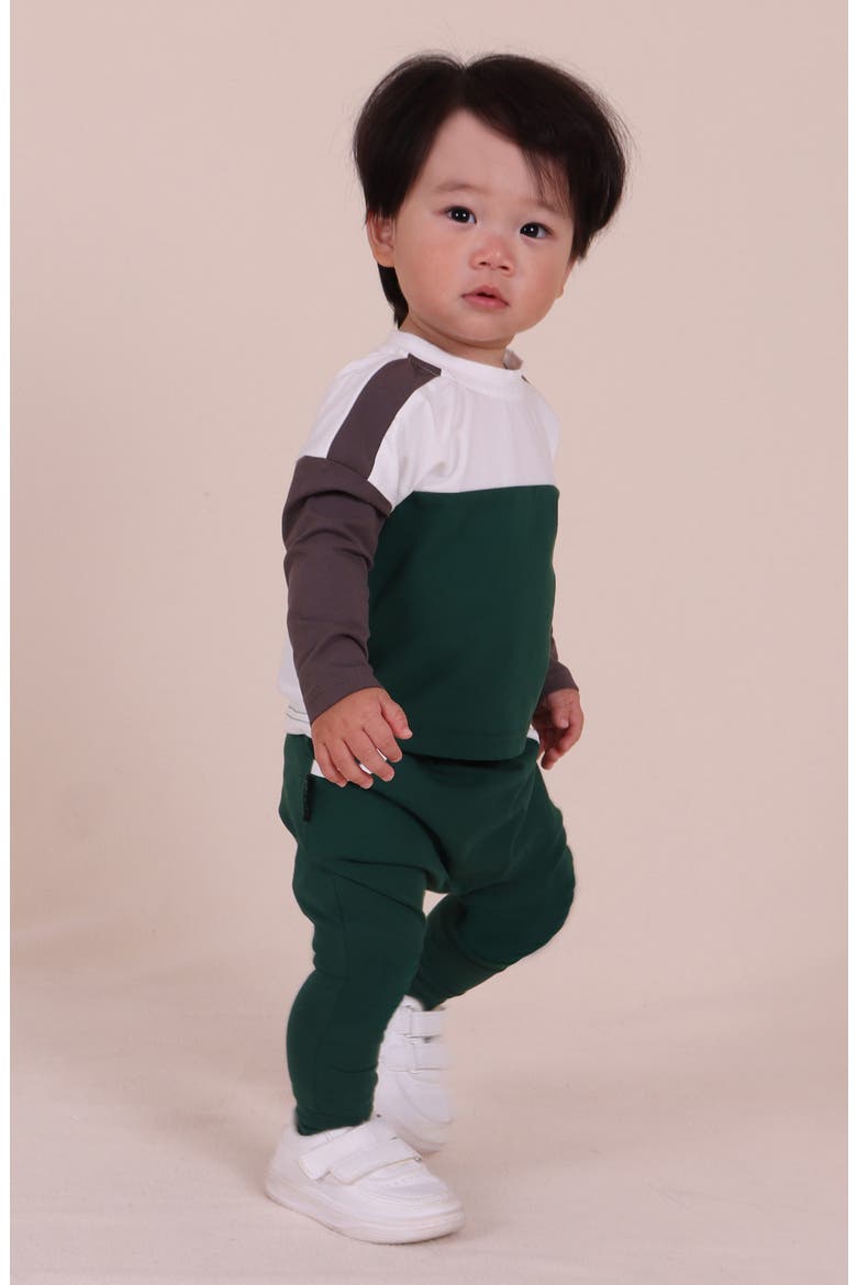 Colorblock Long Sleeve Cotton T-Shirt & Leggings Set, Alternate, color, GREEN MULTI