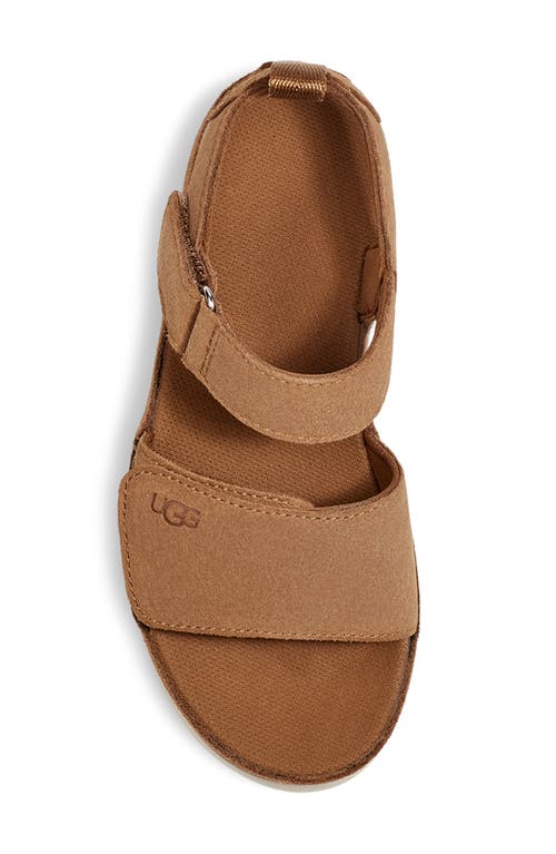 Shop Ugg(r) Kids' Goldenstar Platform Sandal In Chestnut
