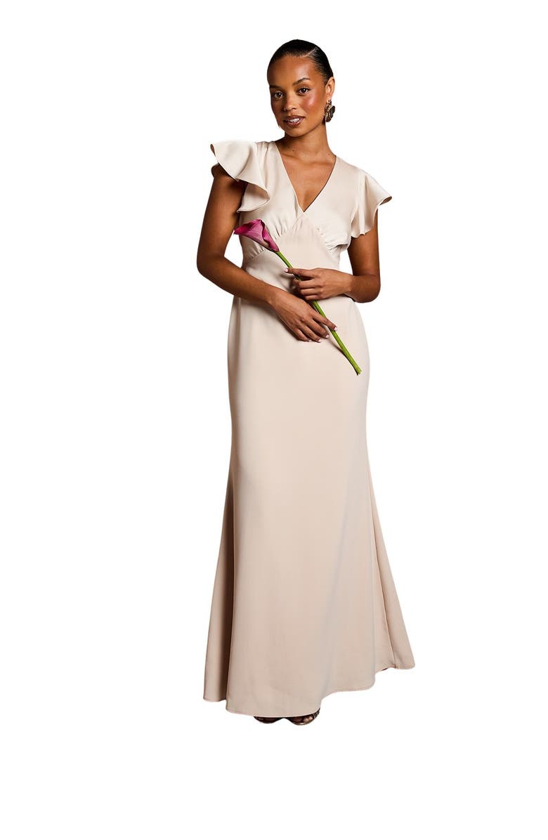 Coast Petite V-Neck Maxi Bridesmaid Dress, Main, color, Champagne