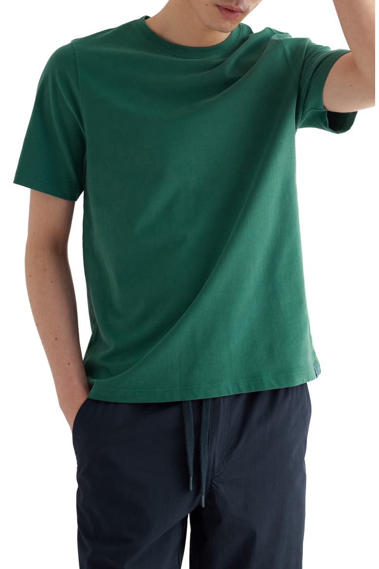 Merthen T-Shirt, Main, color, RUSCUS LEAF