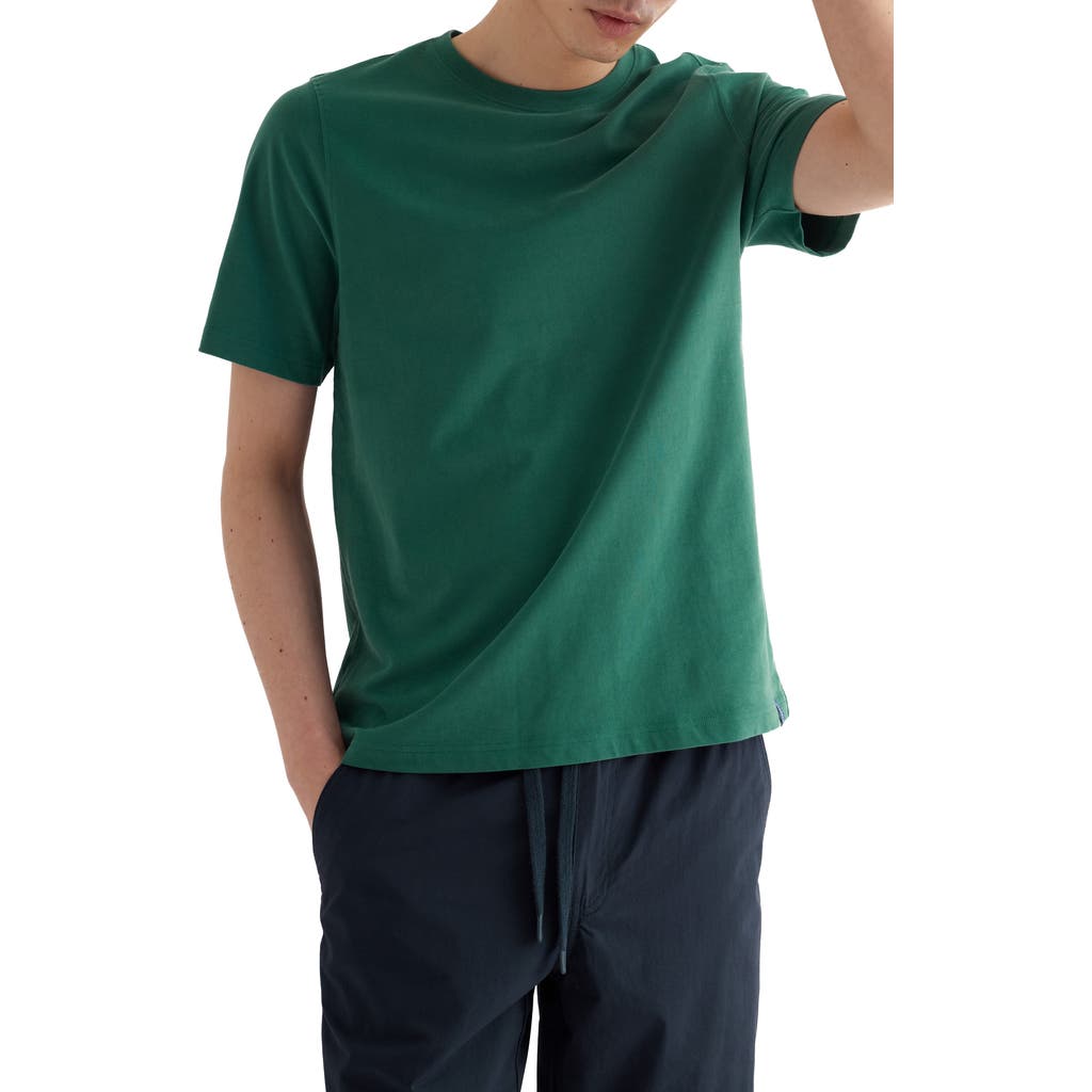 Seasalt Cornwall Merthen T-shirt In Green