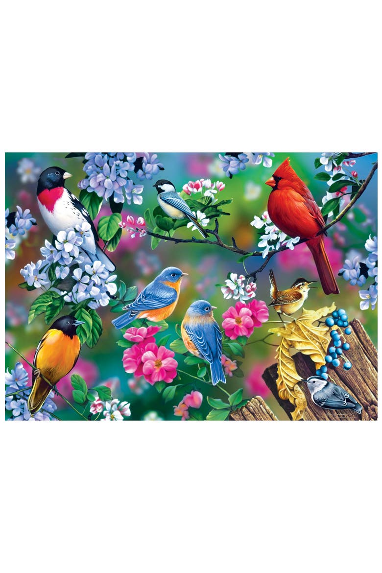 Songbird Collage 1000 Piece Puzzle, Alternate, color, Multicolor