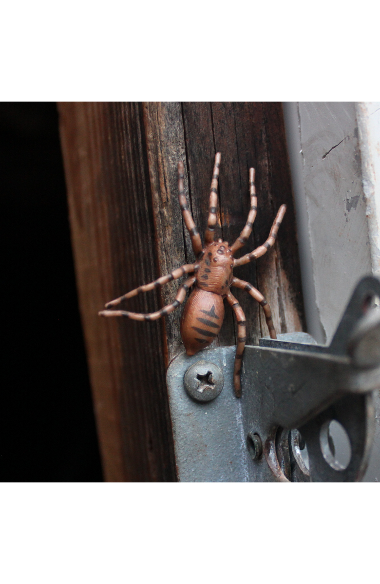 Safari Ltd. Life Cycle Of A Spider, Alternate, color, NO COLOR