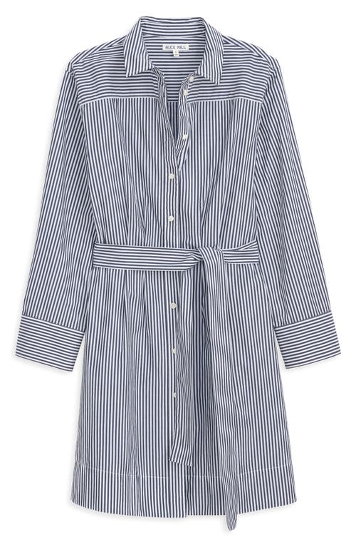 Alex Mill Naomi Stripe Long Sleeve Cotton Shirtdress