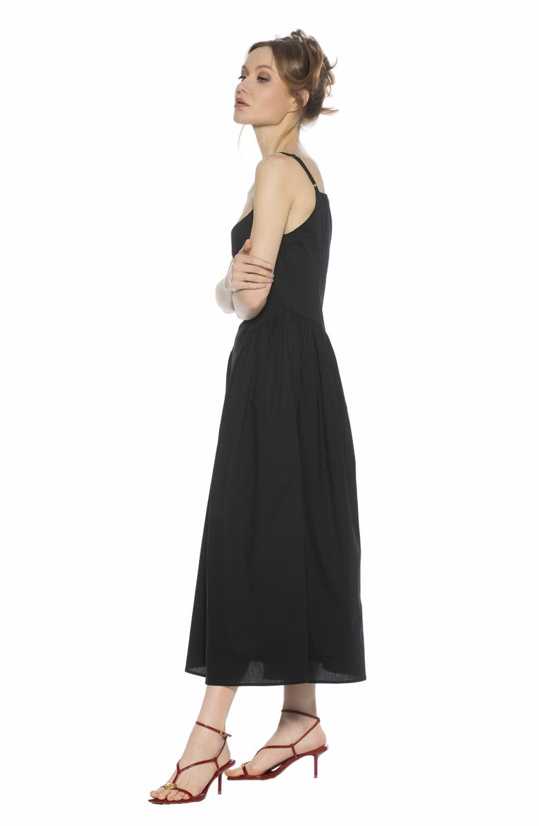 Alexia Admor Thalassa Midi Dress, Alternate, color, 