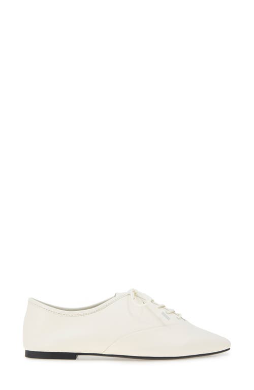 Kenneth Cole Justice Square Toe Oxford In Ecru Leather
