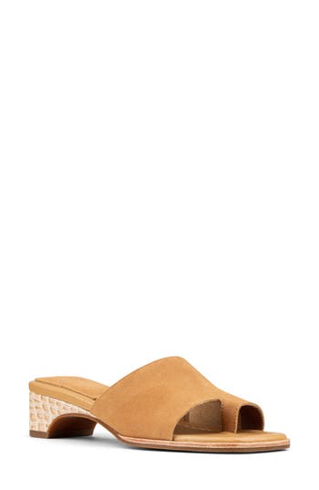 DONALD PLINER DONALD PLINER CASCADE MULE SANDAL 