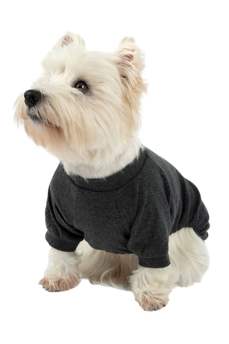 Dog Cotton Solid Matching Family Pajamas, Main, color, Dark Gray